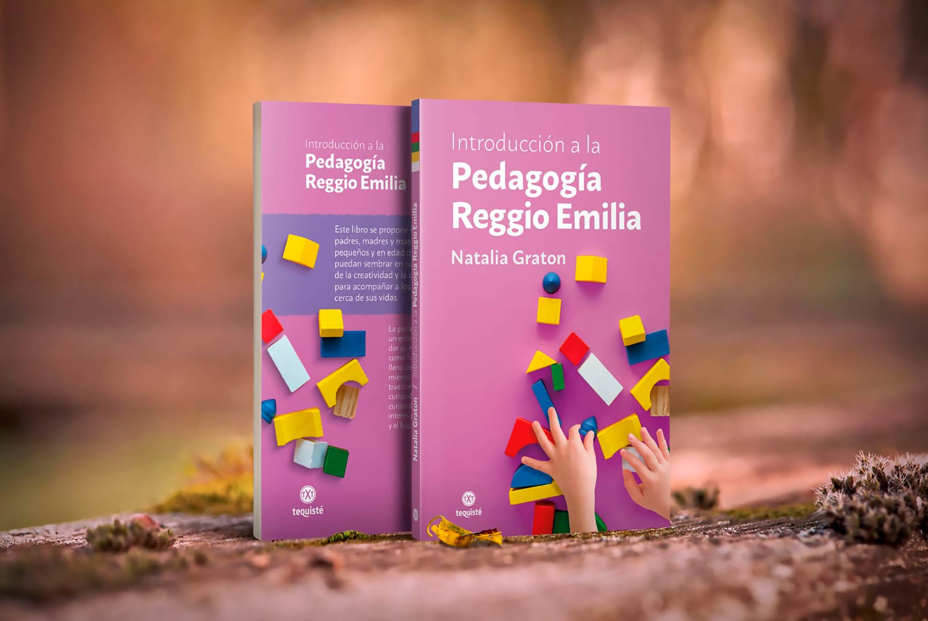 Libro Introducción a la Pedagogía Reggio Emilia, por Natalia Graton
